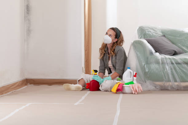 Reliable Commercial Mold Remediation contractor in Port Ludlow, WA by WQB Mold Removal
