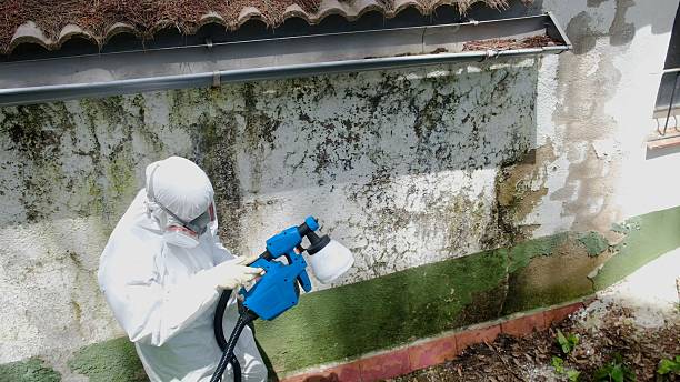Top rated local Commercial Mold Remediation specialists in Port Ludlow, WA